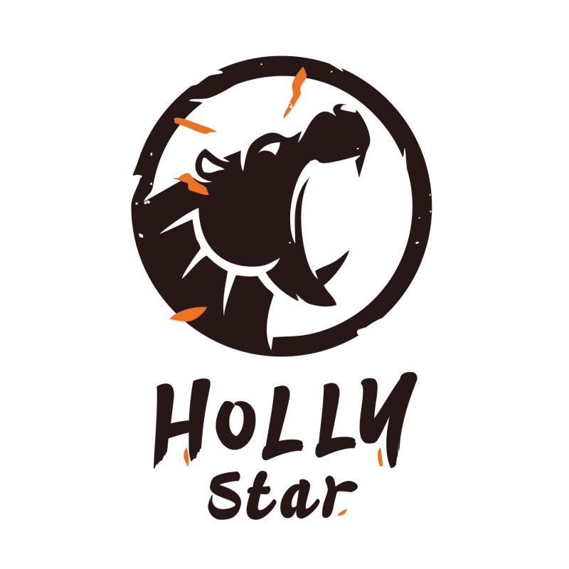 Hollystar International Ltd