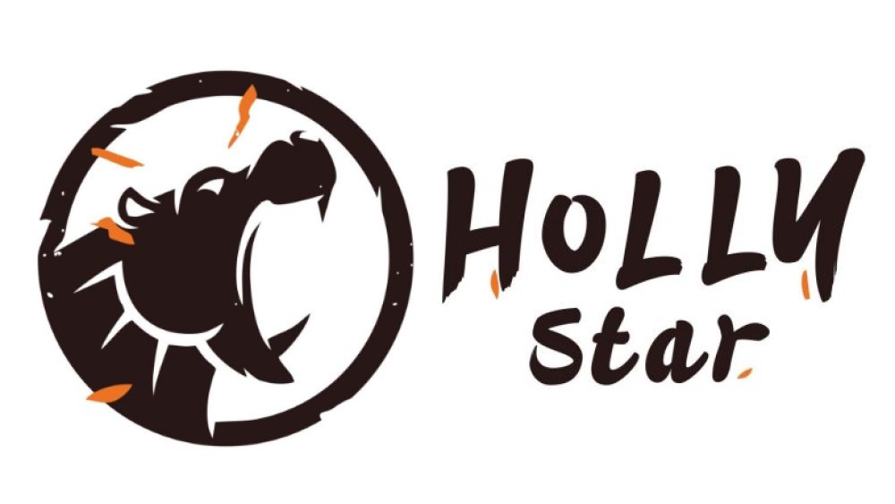 Hollystar International Ltd